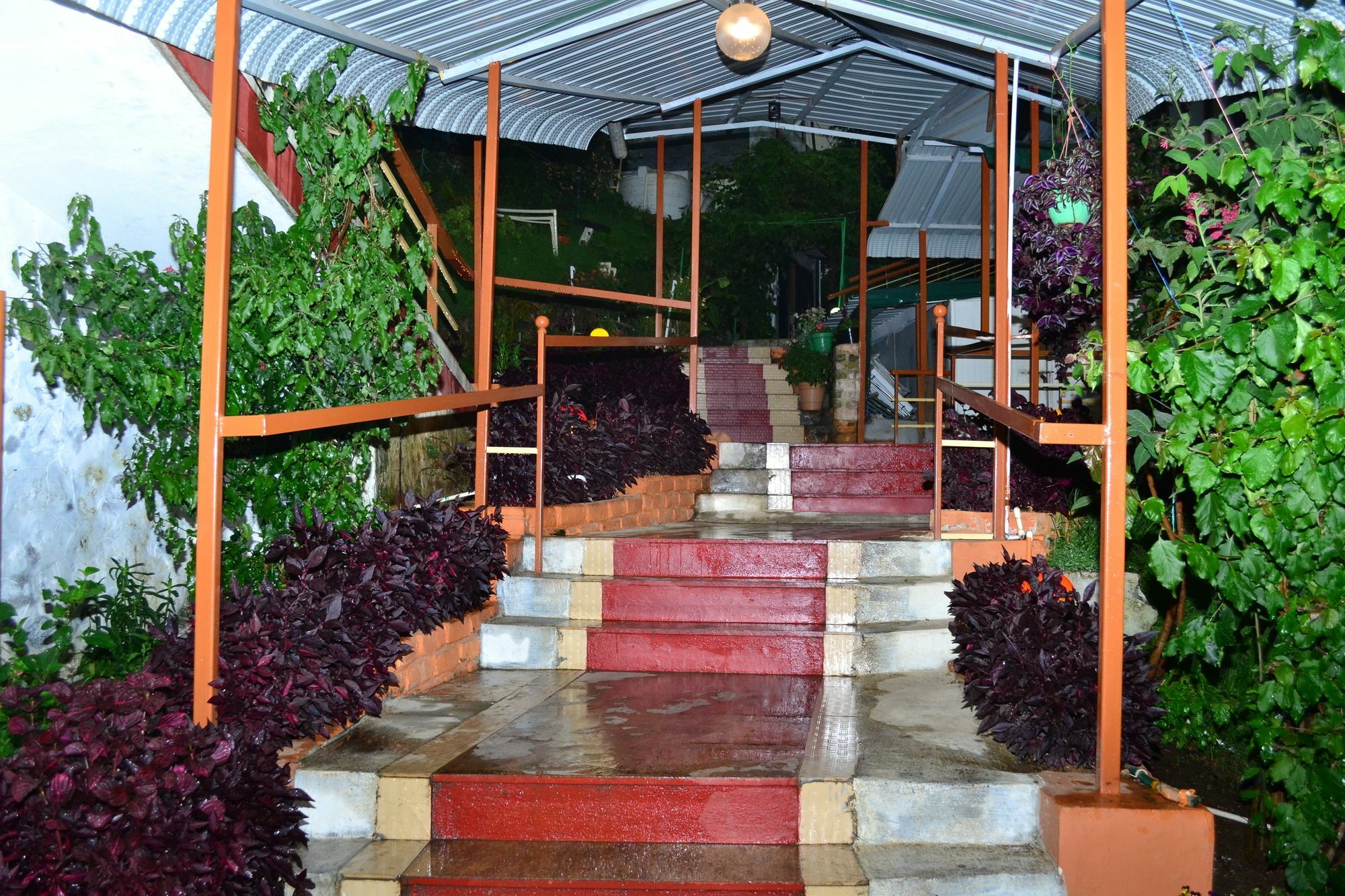 Kodai Sunshine Resort โกไดกานัล ภายนอก รูปภาพ
